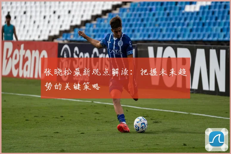 张晓松最新观点解读:把握未来趋势的关键策略